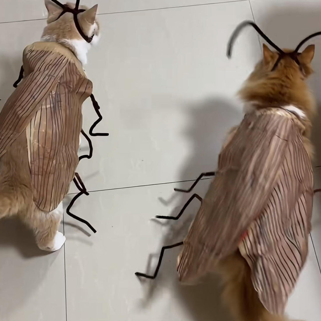 Cat Roach Apparel