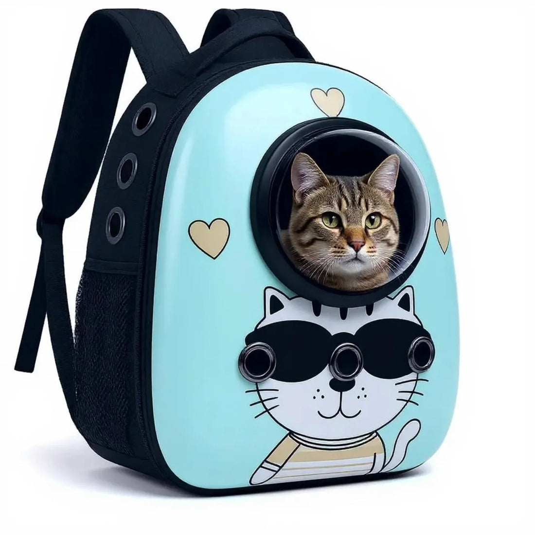 Cat carrier backpack with transparent bubble window
