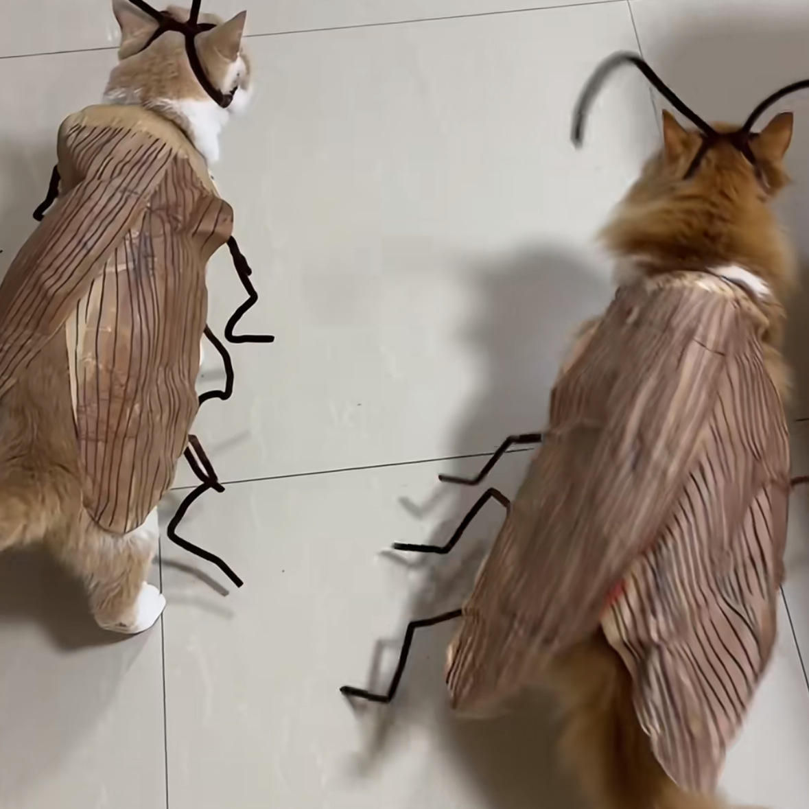Cat Roach Apparel