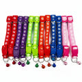 Pet Paw Collar