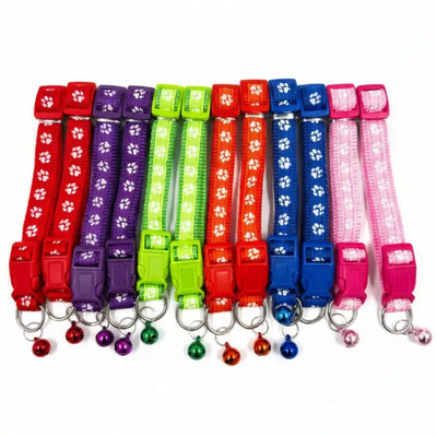 Pet Paw Collar