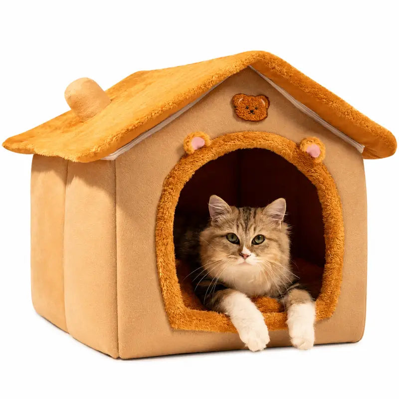 Bear House