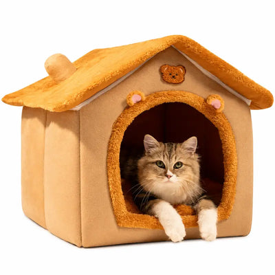 Bear House